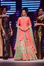 Evelyn Sharma walk the ramp for IIJW 2015  Day 2 on 4th Aug 2015